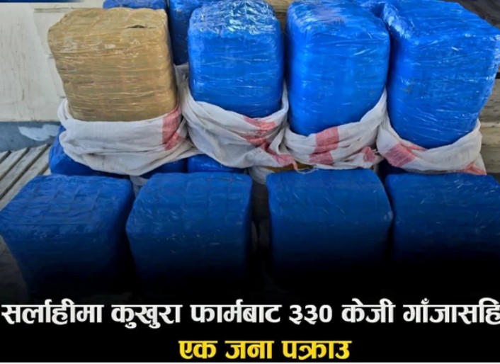कुखुरा फार्मको कारोबारको आडमा लागु औषधको कारोबार ,सर्लाहीमा कुखुरा फार्मबाट ३३० केजी गाँजासहित एक पक्राउ।