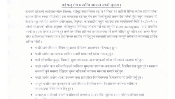 काभ्रेको नमोबुद्धमा बर्ड फ्लुको संक्रमण पुष्टि