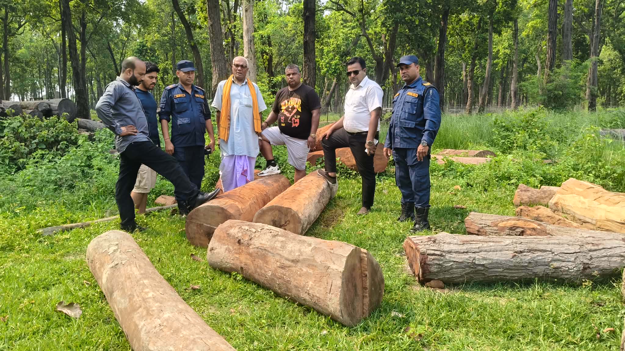 काठ तस्करीविरुद्ध संयुक्त छापा : परसवाबाट सालका गोलिया र फर्निचर प्रयोजनका काठ बरामद