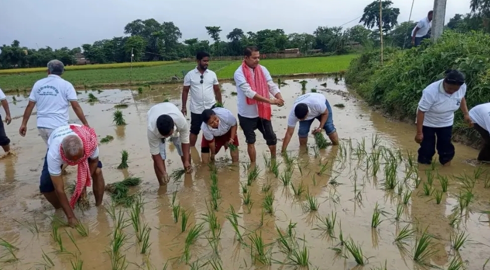 वीरगंज महानगरपालिकाको आयोजनामा २३ औँ राष्ट्रिय धान दिवस तथा रोपाइँ कार्यक्रम सम्पन्न